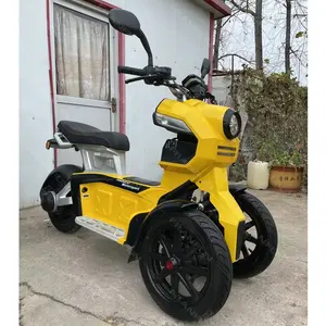 70KM/H EEC COC Two front wheels off-road electric tricycle motorcycle 3000W