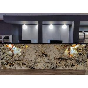 सफेद क्रिस्टल Patagonia ग्रेनिटो Countertop लक्जरी ब्राजील Patagonia ग्रेनाइट पत्थर की पटिया के लिए तालिका के शीर्ष - Product Image 4