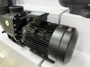 4HP 5.5HP 10HP High Power Swimming Pool <b>Pump</b> Self Priming Seawater Standard Filter <b>Water</b> <b>Pump</b> Manufacturer - Product Image 1