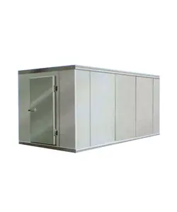 Congelador de almacenamiento en frío de bajo coste, almacén de construcción, equipo de refrigeración, llave personalizada, congelador