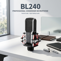 BAIFEILI BL240 Kardioid-Großmembran-Kondensator-Handmikrofon mit XLR-Anschluss für Studio, Live-Streaming und Gesang