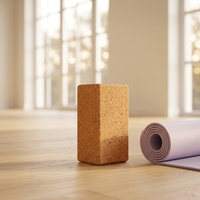 Syntus Kork Yoga Block & Gurt Set 2-teilig Hochdichte Weiche Rutschfeste Yoga-Blöcke 9x6x4 Zoll 8FT Metall D-Ring Gurt für Pilates