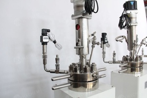 bibo HXCHEM NOUVEAU Réacteur de mélange chimique en acier inoxydable ASME 0,5 L, réacteur haute performance à prix compétitif directement du fabricant - Product Image 2