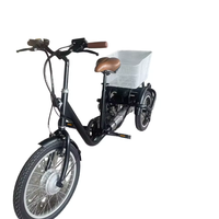 3 Tekerlekli Elektrikli Bisiklet, 24V/36V Lityum Pil, 250W/350W Çelik Gövde, 6 Vitesli Fırçasız Motor, 20 İnç Tekerlekler