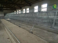 Nouvelle cage à poulets à 3 niveaux galvanisée à chaud avec abreuvoir automatique, haute résistance à la corrosion pour l'élevage avicole