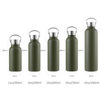 Bouteille d'eau isotherme en acier inoxydable style Ins, petite et fraîche, anti-fuite, à large ouverture, personnalisable, 16oz 500ml
