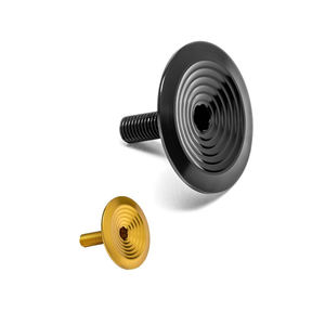 Производитель Dongguan, изготовленный на заказ, болты Gr5 для мотоцикла с большой головкой, титановый болт - Product Image 5