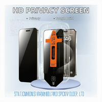 Protection d'écran en verre trempé anti-espion amovible facile à installer sans poussière Magic Box pour iPhone 17 Pro Max 16 15 14 13 12
