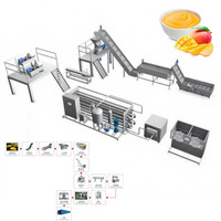 Mangopulp Fabrikanten Machine Automatische Mangopulp Maken Machine