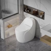 Ensemble de toilettes monobloc en céramique moderne noir, blanc et gris avec siphon en S et double chasse pour salle de bain