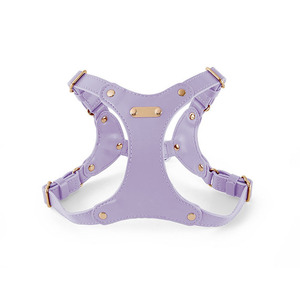 สายรัดอกสุนัขหนัง PU ยี่ห้อ Zenos แบบปรับได้ สำหรับสุนัขขนาดเล็กถึงกลาง ป้องกันการดึง สำหรับพาเดินเล่น - Product Image 3