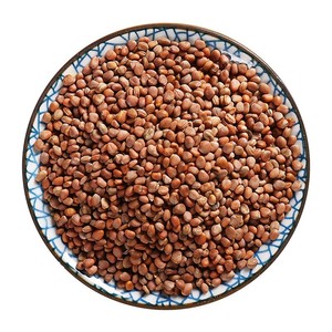 Graines de raphan sativus séchées sans soufre OEM, matière première végétale pour thé bien-être, extrait et usine alimentaire - Product Image 1