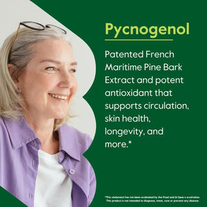 ซอฟเจลไพร์โนเจนอลคุณภาพสูงสำหรับแบรนด์ส่วนตัว  ช่วยลดการอักเสบ ต้านอนุมูลอิสระ และปกป้องหลอดเลือดอย่างมีประสิทธิภาพ - Product Image 2