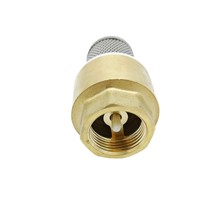 Ningbo Texoon approvisionnement d'usine clapet de pied en <span class=keywords><strong>laiton</strong></span> forgé <span class=keywords><strong>disque</strong></span> en plastique 304 filtre à ressort en acier inoxydable - Product Image 6