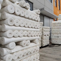 Tissu de doublure en taffetas tissé croisé 75D 190T 100% polyester à séchage rapide et respirant pour sacs et vêtements pour garçons - Vente en gros usine