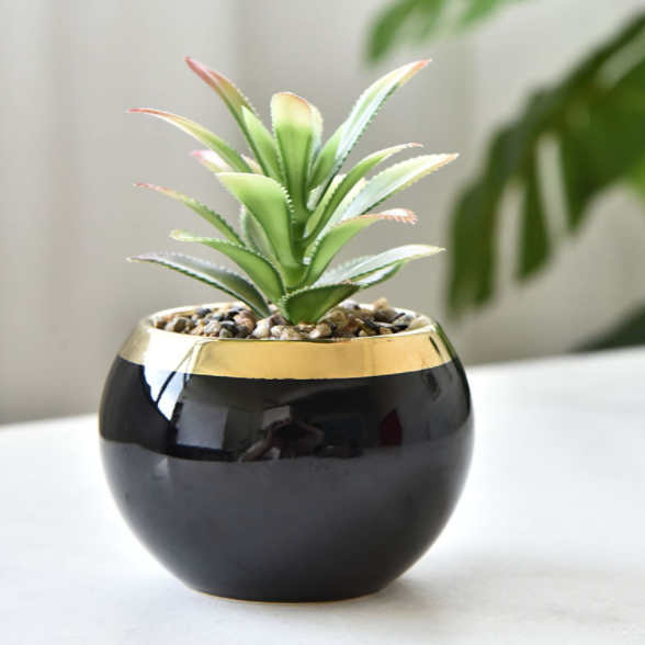 Black  pot