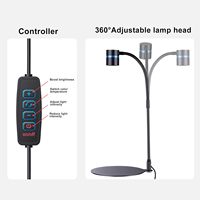 Lampe LED réglable bleue à spectre complet pour terrarium, idéale pour mousse, fougère, nano-plantes, bureau, verre – Vente en gros directe usine