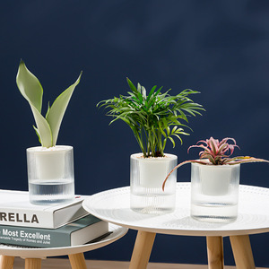 Taiyuan Self Watering Flower <b>Pots</b> Transparent Hydroponic Planters Minimalist Desktop Green Plant <b>Pots</b> One Piece Molding - Product Image 1