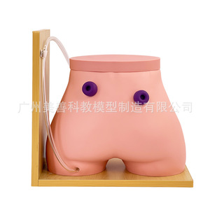 Modèle de soins pour stomies fistulaires ; Modèle d'entraînement aux fistules ; Colostomie ; Modèle d'iléostomie - Product Image 2