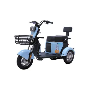 Electric Adult Mobility Scooter Double Rear Tire Chongqing With Motor Motorbike Trike Vendor Gas Cargo 400kg Kit Cart Tricycle