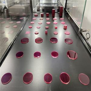 Fabricación de fábrica diámetro 9,5mm calidad óptica zafiro vidrio rubí placa de vidrio - Product Image 1