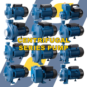 Pompe centrifuge à haute pression automatique <span class=keywords><strong>BLUESEA</strong></span> pour l'irrigation, 1 CV, pour la maison - Product Image 3