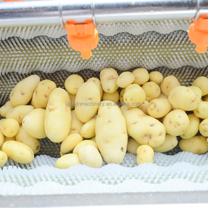 Nhà Máy Giá khoai tây rửa lột Máy gốc rau củ cải đường Yam gừng rửa và lột thiết bị chế biến - Product Image 5