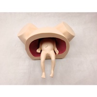 Modelo de Demostración de Parto Difícil, Simulador Médico de Parto, Maniquí de Entrenamiento, Simulador de Parto Infantil