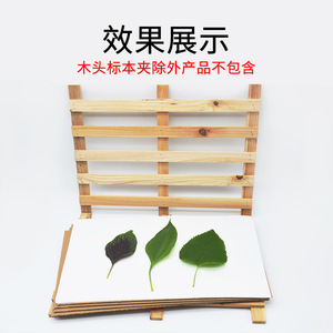 Ensemble de pinces à spécimens en bois, pinces complètes pour la préparation de spécimens végétaux, comprenant du papier absorbant, grande taille 35*45cm - Product Image 5