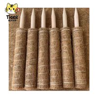 TGYW Poteau en fibre de coco auto-arrosant, support pour plantes grimpantes, modèle Totem, vente chaude