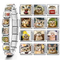 Pulsera de Charms Italianos Personalizada con Foto, de Acero Inoxidable, Modular, de 9mm, para Amantes de Mascotas, Regalos de Joyería Familiar