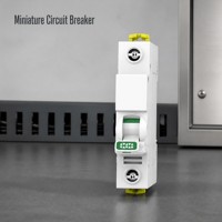 Disjoncteur miniature (MCB) série Vigi IDPNA C20 en plastique 230V/400V 6kA Capacité de coupure 1P+N 2A-32A