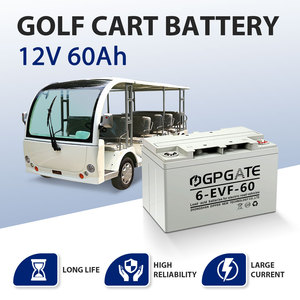 Batería de Ciclo Profundo de Plomo-Ácido <span class=keywords><strong>Gel</strong></span> 6 EVF 60 MF de Alto Rendimiento y Bajo Precio para Vehículos Eléctricos - Product Image 2