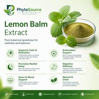 Ekstrak Melissa Officinalis Premium Dalam Bentuk Bubuk Untuk Mendukung Suasana Hati Ekstrak Lemon Balm Dengan Kandungan Citral Tinggi