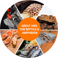 REPTIZOO Logo OEM, Grotte cachette multifonction à 2 trous en résine écologique, Décoration d'habitat pour reptiles et amphibiens, pour Serpent de maïs et Léopard