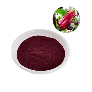 สารสกัดแห้งจากดอกชบา (Hibiscus Rosa Sinensis) แบบสกัดด้วยตัวทำละลายธรรมชาติ วัตถุดิบจากพืชสมุนไพร เกรดอาหาร สำหรับเสริมอาหาร - Product Image 2