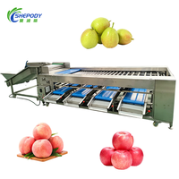 Shepody Pear Tomatensorteermachine, verbeterde efficiëntie, sorteermachine voor mango's en appels op maat, met CE-certificering
