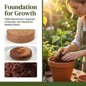 Groente teelt met geperste pure kokosvezel medium, voedingsrijke aardeblokjes en succulententeelt in kokosvezel - Product Image 4