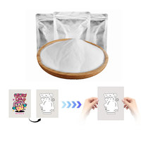 Polvo Adhesivo Termofusible DTF de Grano Fino de Primera Calidad, No Obstruyente, para Impresión de Logotipos y Patrones Personalizados en Diversos Tejidos de Prendas