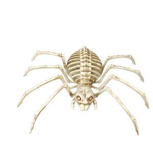 Décorations d'Halloween : Accessoires d'araignées effrayantes, squelettes d'araignées, pour la Fête des Morts, maisons hantées et aménagement d'hôtels - Product Image 1