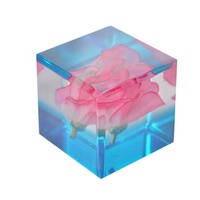 Cube de présentation en acrylique écologique personnalisé, bloc de pièces de monnaie, presse-papiers