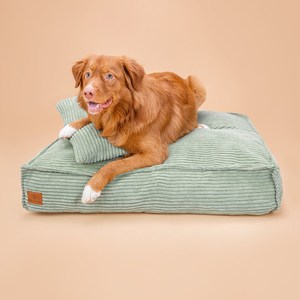 Cama para Perro de Pana, Ortopédica, Sofá para Mascotas, Espuma Viscoelástica, para Perros Grandes, Funda Lavable para Uso en Interiores - Product Image 1