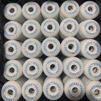 Patins à roulettes pour enfants et adultes, roues en polyuréthane PU lumineuses, patinage de vitesse, patinage en ligne, inspirés de l'aurore boréale