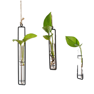 Vase mural décoratif en verre borosilicate hydroponique, style Art déco, luxe, résistant aux chocs, écologique, pour mariage, maison, plante suspendue - Product Image 2