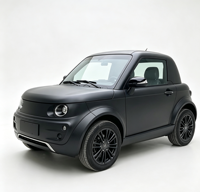Voiture électrique, voiture à énergie verte, véhicule électrique écologique, crossover électrique, fourgonnette électrique, camion électrique, break électrique, voiture électrique sportive