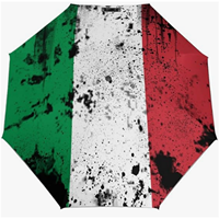 Parapluie pliant entièrement automatique de haute qualité, motif drapeau italien imprimé clair et vif, série à thème paysan, classique