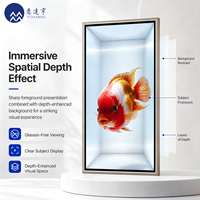 Affichage publicitaire 3D transparent à effet dynamique SDK, affiche numérique 4K à effet 3D visuel direct