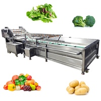 Lonkia Hoge Capaciteit Luchtbel Pruimen Groep Hami Meloen Haw Reinigingsmachines Groene Bladgroente Ozon Wasmachine