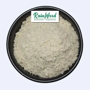 Rainwood 100% Food Grade Good Taste natural bulk Almond Flour Instant Almond Powder in stock