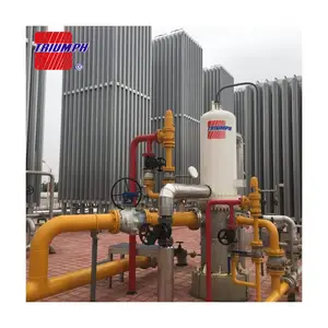 Vaporizador de baño de agua de 60000Nm, 3/h de gnl y calentador de placa de tubo en U para grupo de Gas Hefei - Product Image 1